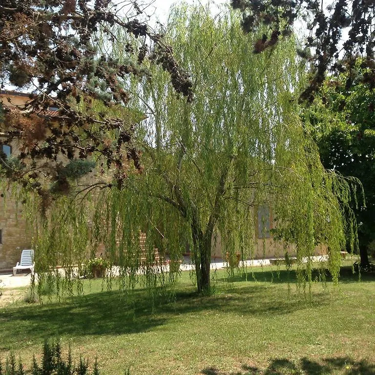 Teruzzi Country House 산지미냐노